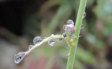 小英雄雨来的演讲稿最新7篇