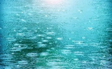 烟雨中作文通用5篇