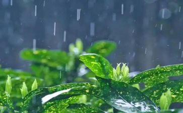 下雨的日子的作文8篇