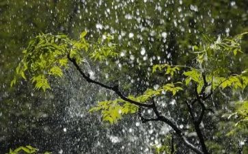 小英雄雨来作文300字通用6篇