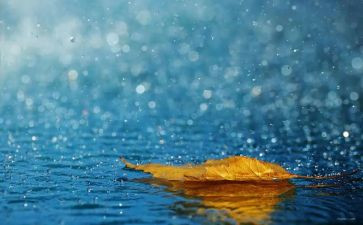 幼儿园画雨滴教案6篇