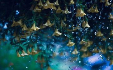 关于雨的作文400字参考7篇