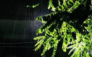 春雨的作文400字8篇