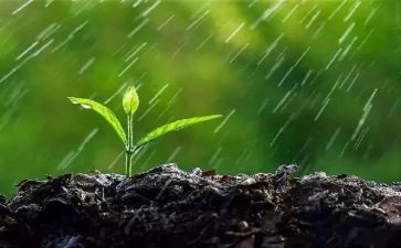 关于雨的作文8篇