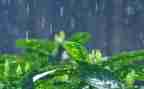 风和雨大班音乐教案7篇