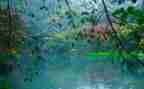 小班画雨滴教案6篇