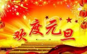 小学元旦活动方案元旦活动方案模板7篇