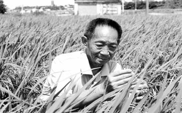 作文袁隆平500字7篇