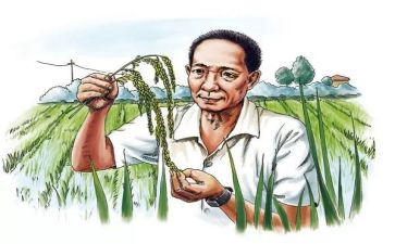 以袁隆平为榜样的作文8篇