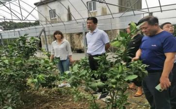 园艺站年终个人总结7篇