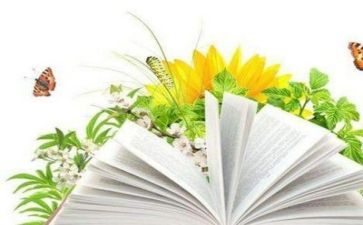 写阅读心得体会5篇