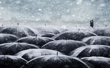 与众不同的人作文500字推荐5篇