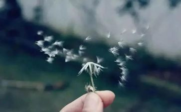我很在乎_作文8篇