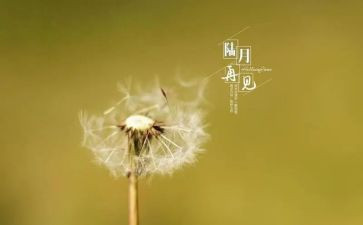 再见2024迎接2024的作文5篇