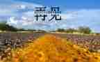 再见2024年作文精选5篇