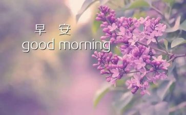 早教的活动策划最新8篇