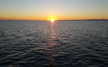 早餐里的爱作文500字8篇