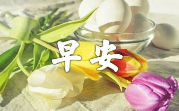 安全早会议讲话稿5篇