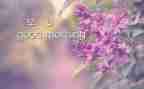 早教的活动策划最新8篇