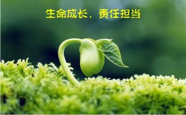 有关责任的作文7篇