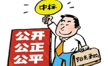 招标公司年度总结5篇