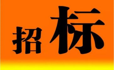 招标员年度工作总结8篇