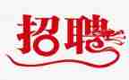 2024年度招聘工作总结7篇