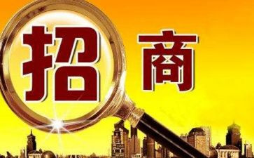 以商招商工作总结推荐7篇