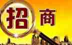 以商招商工作总结推荐7篇