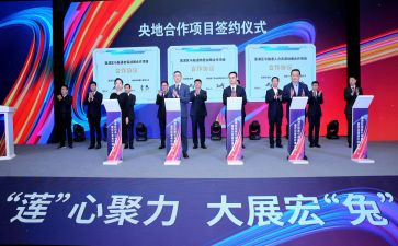 局招投标工作总结优质6篇