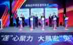 局招投标工作总结优质6篇