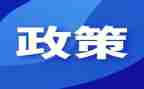小学落实双减政策心得体会7篇