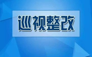 检查及整改报告优秀7篇