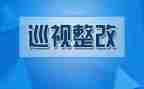 学校自查整改报告范文6篇