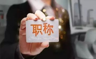 正高级教师专业技术工作总结7篇