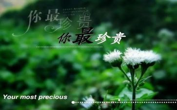 友谊最珍贵作文8篇
