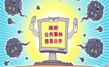 市政务公开工作总结6篇