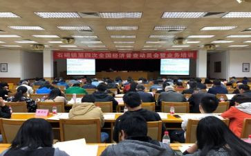 乡镇统计工作计划7篇
