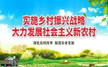 局乡村振兴工作计划优质6篇