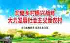 局乡村振兴工作计划优质6篇