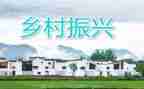 乡村振兴员个人心得体会5篇