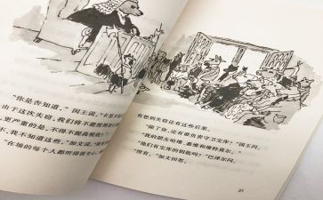 《真正的贼》读后感8篇