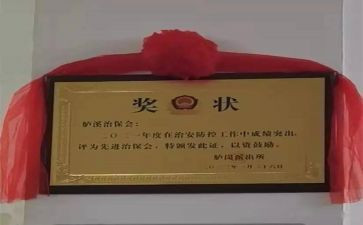 村治保主任个人总结7篇