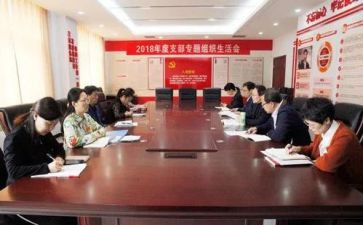 医院支部的工作计划8篇
