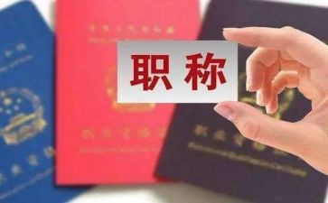 职称的工作总结精选6篇
