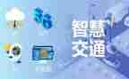 的智慧从哪里来读书心得5篇