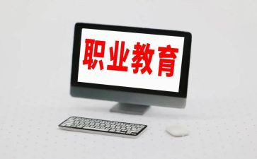 2024年高职教师工作总结5篇