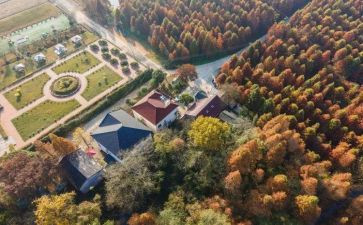 市域社会治理现代化试点工作总结报告6篇