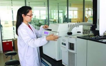 质量活动总结报告范文7篇