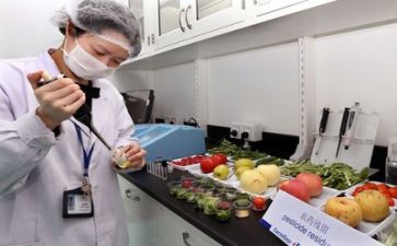 质量强工作计划精选8篇